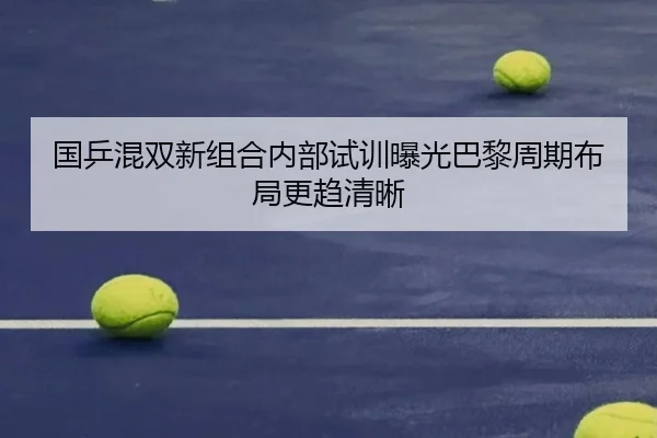 国乒混双新组合内部试训曝光巴黎周期布局更趋清晰