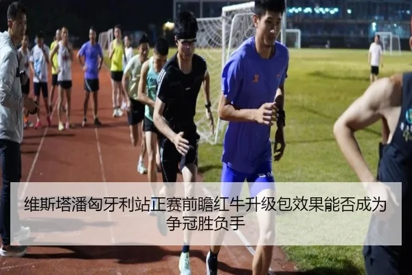 维斯塔潘匈牙利站正赛前瞻红牛升级包效果能否成为争冠胜负手