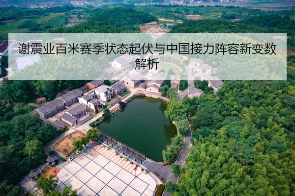 谢震业百米赛季状态起伏与中国接力阵容新变数解析
